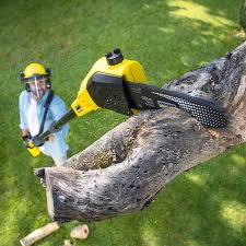 Best Lawn Maintenance Plans  in Galva, KS